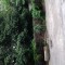 冰雨的頭像