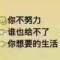 狗狗式的愛情的頭像