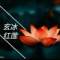 玄冰紅蓮的頭像