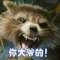 **寳鋇聼譮的頭像