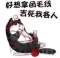 美猴王的頭像