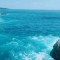 海風的頭像