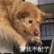 敏敏孤單單的頭像