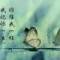 蝶的頭像