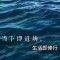 的頭像