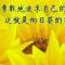 的頭像
