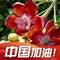 初心的頭像
