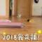 勇往直前的頭像