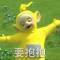 donkey的頭像