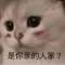 容止的頭像