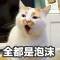 yyy的頭像