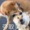 帳號已注銷的頭像