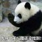 colin的頭像