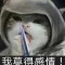 落雪的頭像