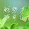 流逝的聲音的頭像