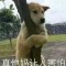1的頭像