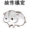 丟丟的頭像