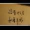 不懂也看不透的頭像