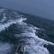 35409的頭像