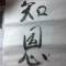 小樂的頭像