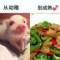 糖糖糖糖的頭像