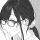 neet☆boi的頭像