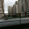 先鋒流量團隊總代的頭像