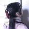 兔兔愛蘿卜。的頭像