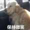 惡龍咆哮的頭像