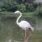 ゞ洎鈾鳥的頭像