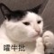 樂滋的頭像