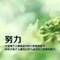 似有似無溫柔的頭像
