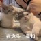 詩子的頭像