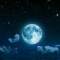 星空物語的頭像