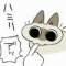 WHYWHYWHY的頭像