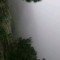 a海輝的頭像