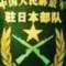 513的頭像