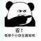 胡濤的頭像