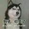 悠哉日常的頭像