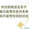 中間的頭像