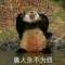 cheater的頭像