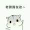 宋仲基的頭像