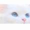 lolita的頭像